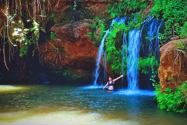 Nairobi: Caminhada pela Floresta Ngare Ndare e Canopy WalkNairobi: Caminhada pela Floresta Ngare Ndare e Passeio pela Copas das Árvores