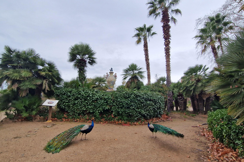 Da Salou: Parco Samá con degustazione di 1 vermouth, servizio di prelievo in hotelDa Salou: Park Samá con 1 degustazione di vermouth, servizio di prelievo in hotel