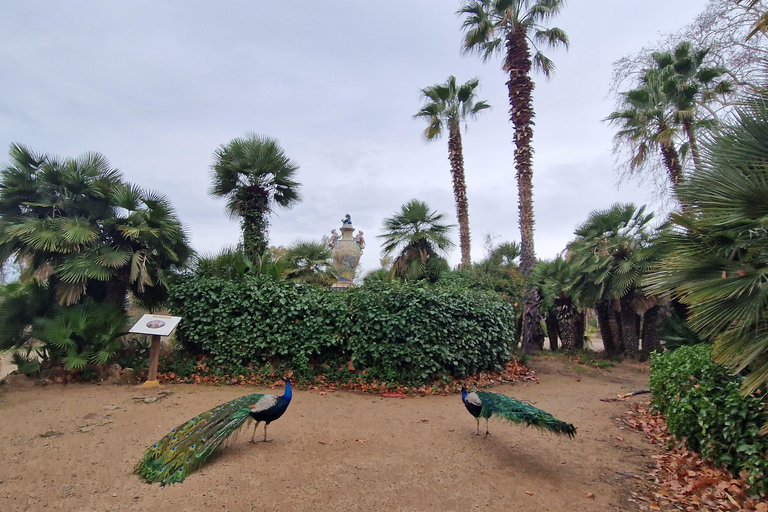Da Salou: Parco Samá con degustazione di 1 vermouth, servizio di prelievo in hotelDa Salou: Park Samá con 1 degustazione di vermouth, servizio di prelievo in hotel