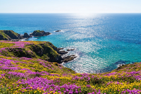 Romantic Day Trip Departing from Otaru, Hokkaido Meet at Exit 31 of Odori Park Subway Station at 8:00 a.m.