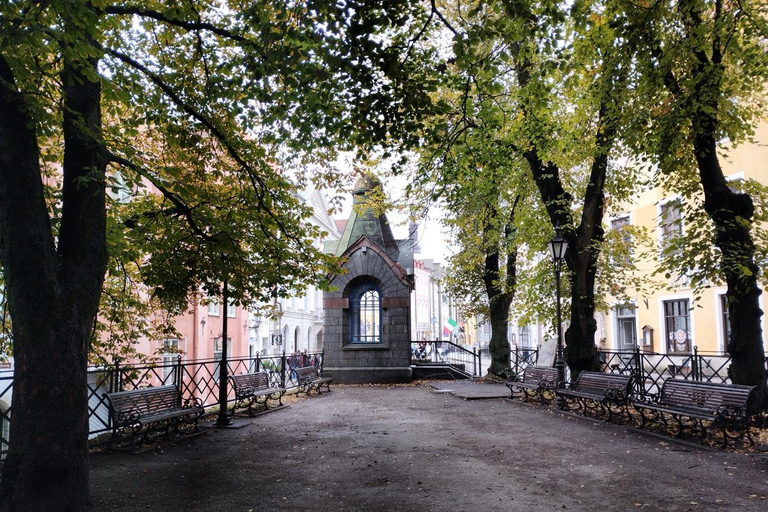 Individual excursion in Tallinn