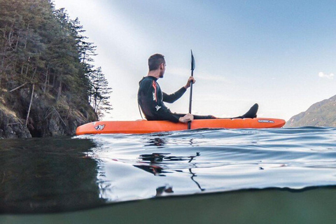 Vancouver: Snorkel, Kayak, and Seal Adventure Boat Tour