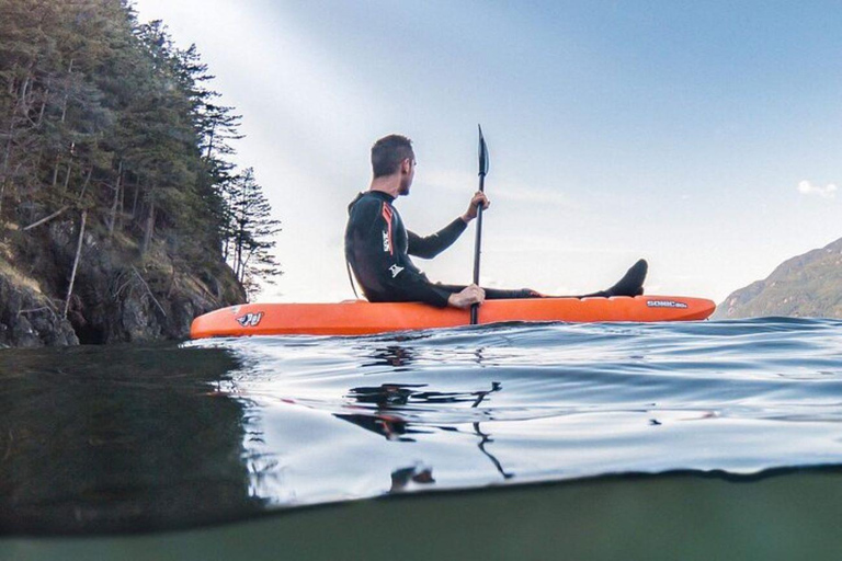 Vancouver: Snorkel, Kayak, and Seal Adventure Boat Tour