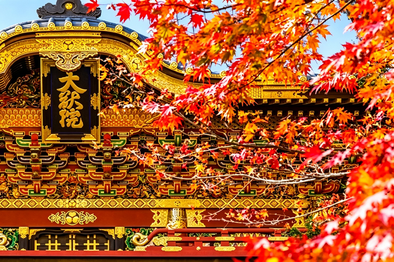 Nikko Small Group: Hotel Pickup, Kegon Falls & Toshogu Private Sightseeing Tours