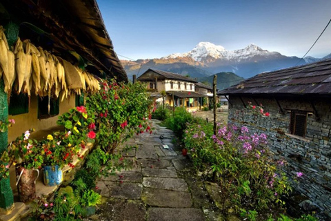 Au départ de Pokhara : 1 nuit et 2 jours de visite à Ghandruk en jeep 4wAu départ de Pokhara : 1 visite nocturne de 2 jours à Ghandruk en jeep 4w