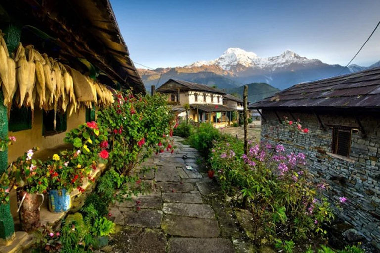 Au départ de Pokhara : 1 nuit et 2 jours de visite à Ghandruk en jeep 4wAu départ de Pokhara : 1 visite nocturne de 2 jours à Ghandruk en jeep 4w