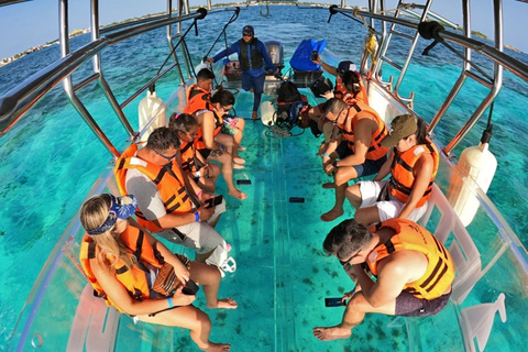 Cancún: Paseo en barco con fondo de cristal y bebidas