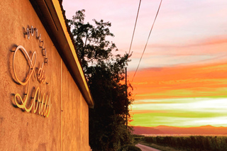 Valence: Tour and Tasting at Domaine Des Louis