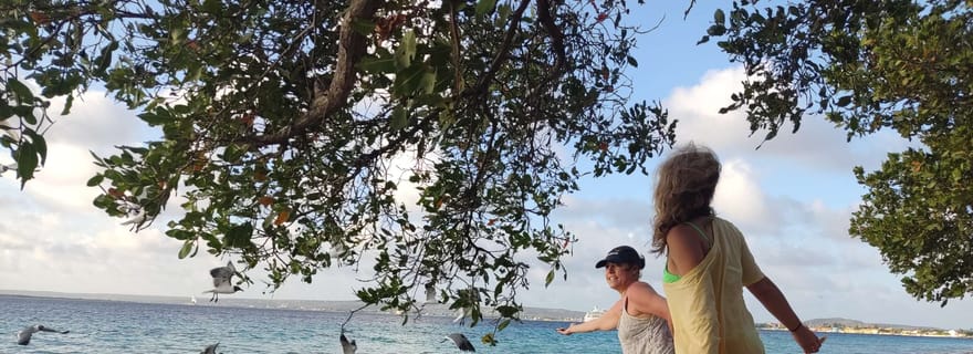 Plongée avec masque et tuba et grillade de poisson frais à Donkey Beach