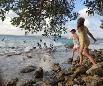 Snorkeling and Grilling Fresh Fish at Donkey Beach