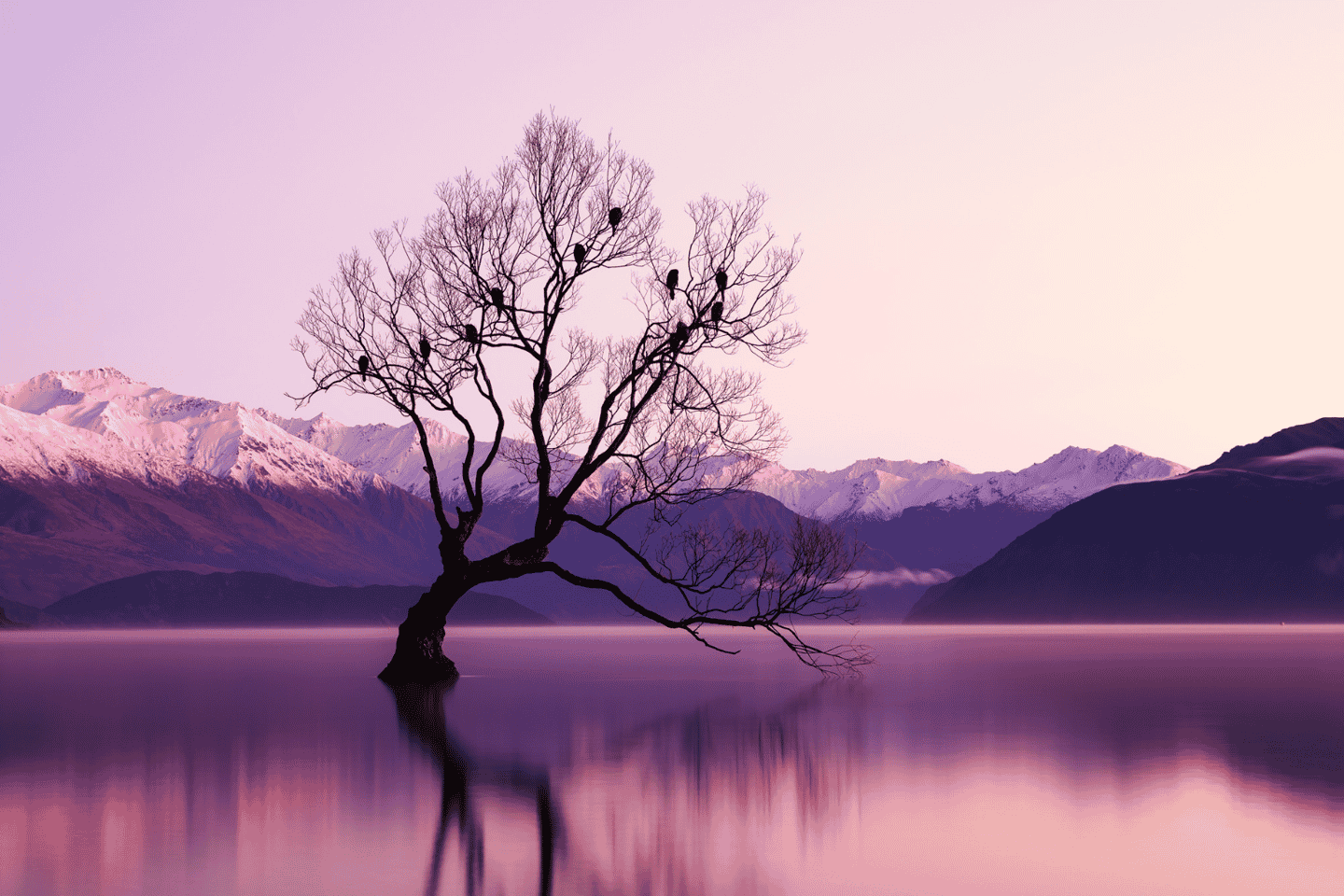 Queenstown: Glenorchy and Wanaka Private Day Trip - Queenstown: Glenorchy and Wanaka Private Day Trip