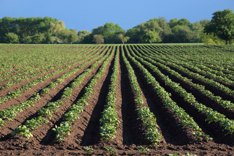 Dublin: Irish Famine Exhibition Entry Ticket