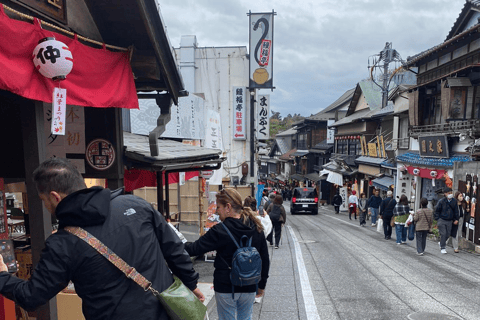 From Narita Airport: Private Layover or Transit Guided Tour