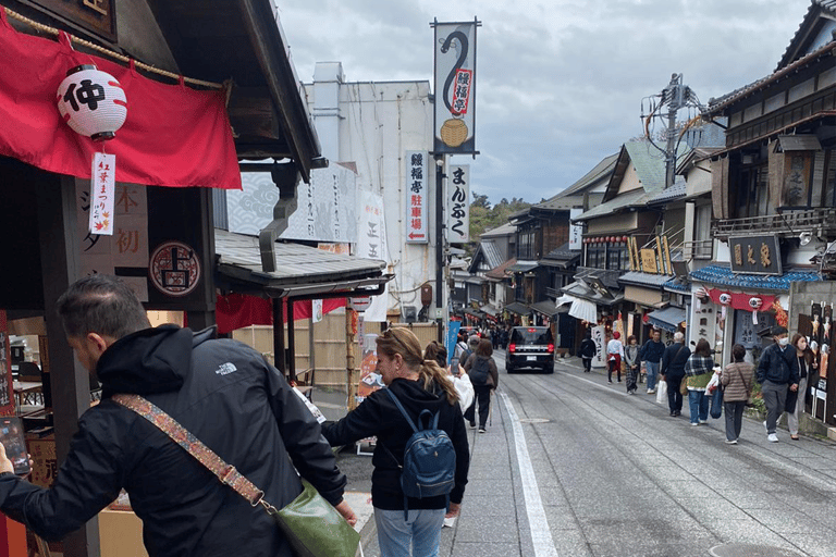 Przesiadka/tranzyt na lotnisku Narita i pobyt! za 4 godziny