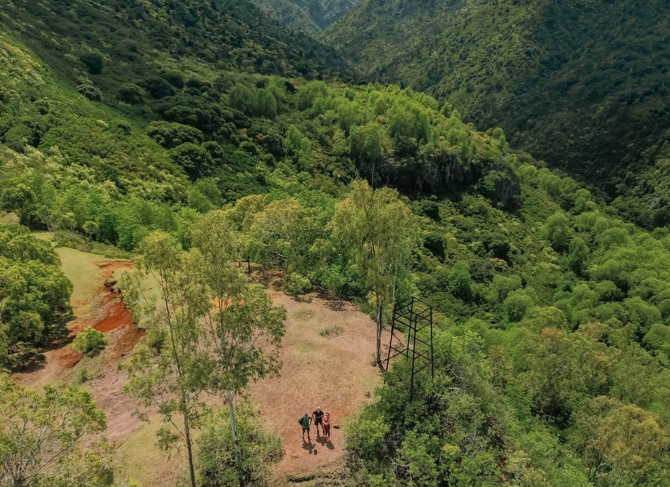 Mauritius: Black River Gorges National Park 3-timers vandretur