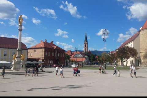 Zagreb: 10-Day Guided Tour to Dubrovnik with Tickets