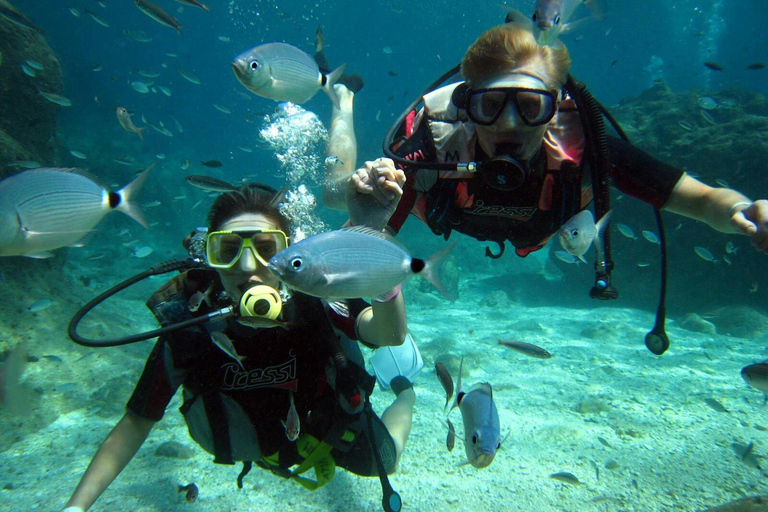 From Side and Alanya: Guided Beginner Level Scuba Diving