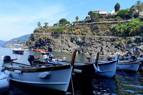 Von Florenz aus: Kleingruppentour nach Cinque Terre und Pisa