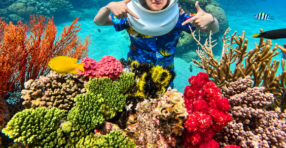 Nha Trang: Sea Walking Experience with Lunch & Hotel Pickup
