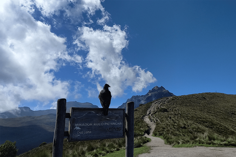 Quito Rucu Pichincha : Randonnée jusqu&#039;au sommet du Rucu Pichincha