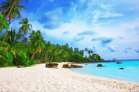 Phu Quoc Northern City: Kayaking, Starfish Beach & Ham Rong Group Tour