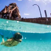 Moreton Island: Tangalooma Snorkeling Tour & Dolphin Feeding