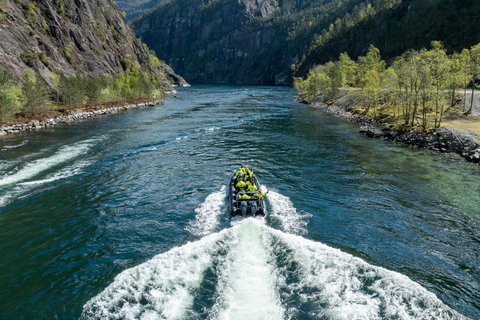 Bergen: Modalen RIB Fjord Safari with Lunch & Transfer