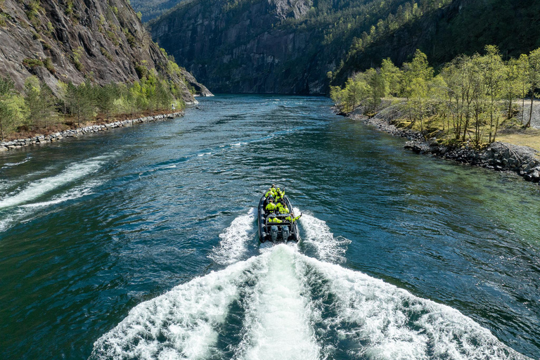 Bergen: Modalen RIB Fjord Safari with Lunch & Transfer