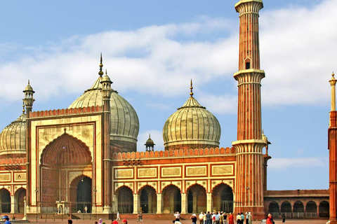 From Delhi: Private Golden Triangle with Ranthambhore Safari MTA027/02 - Private Tour With Transport + Guide + Safari