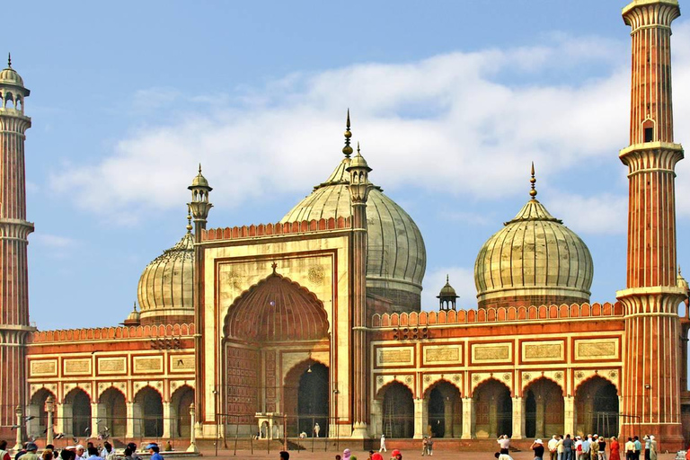 From Delhi: Private Golden Triangle with Ranthambhore Safari MTA027/02 - Private Tour With Transport + Guide + Safari
