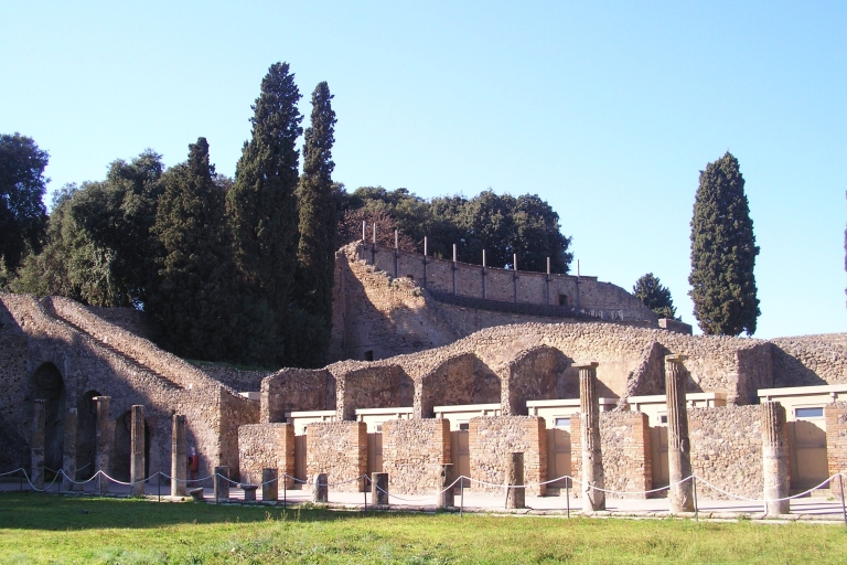 Wizyta z przewodnikiem w Pompejach i Wezuwiuszu z lunchem w postaci pizzyWizyta z przewodnikiem w Pompejach i Wezuwiuszu