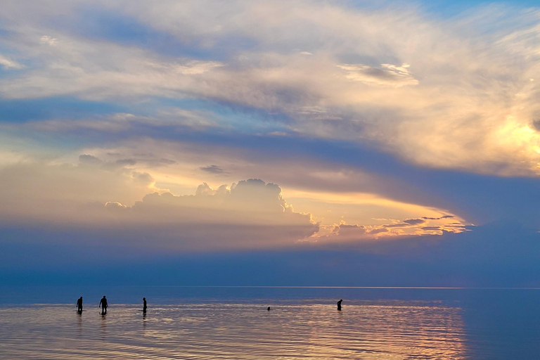 Ķemeri Great Bog With Optional Sunrise & Jūrmala Visit Ķemeri Bog Shared Small Group Tour