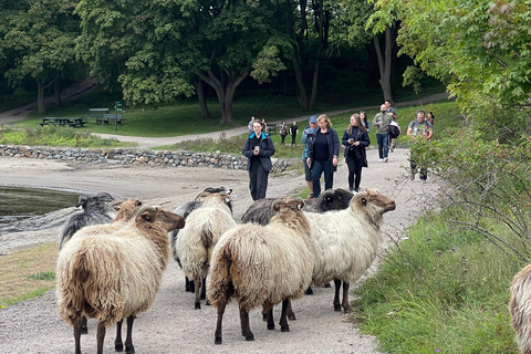 Passeggiate sulle isole di Oslo: Giro delle isole