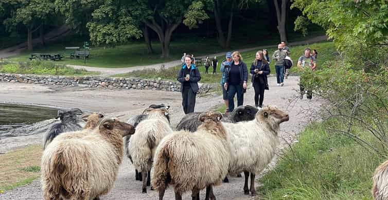 Oslo Island Walks Island Hopping Tour Getyourguide