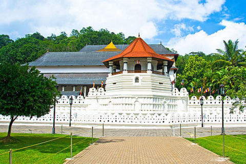 Colombo: Kandy and Pinnawala full day trip