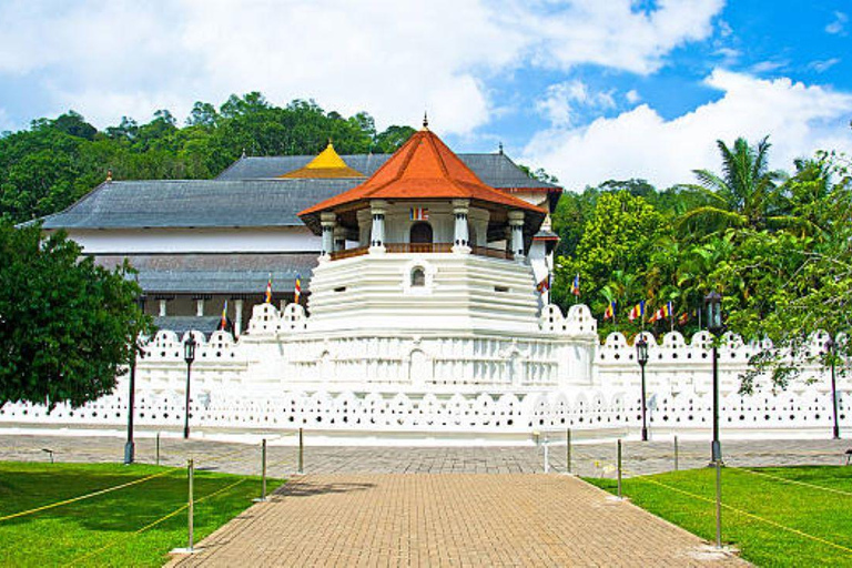 Colombo: Kandy and Pinnawala full day trip