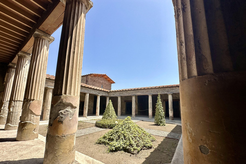 Pompeii: Kids and Teens Tour with Archaeologist Guide