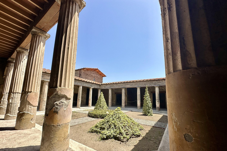 Pompeii: Kids and Teens Tour with Archaeologist Guide