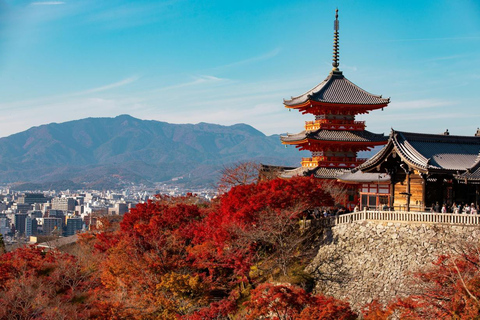 Kyoto, Gion & Nara: Culture & Heritage Full-Day Tour Trip from Osaka 8:40AM