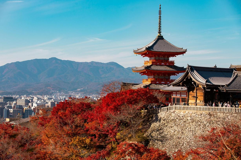 Kyoto, Gion & Nara: Culture & Heritage Full-Day Tour Trip from Osaka 8:40AM