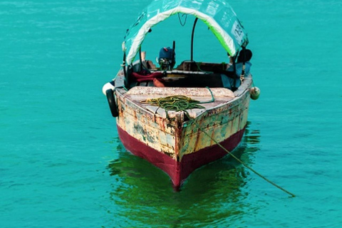 Zanzibar: Stone Town Tour &Prison Island & Nakupenda beach TOUR WITHOUT TRANFER
