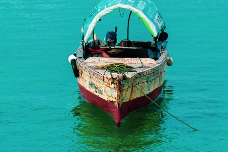 Zanzibar: Stone Town Tour &Prison Island & Nakupenda beach TOUR WITHOUT TRANFER