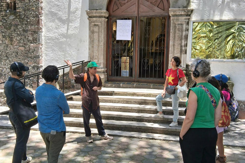Mexico City: Colonia Roma Musical Walking Tour Tour in English