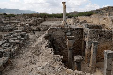Tunis/Hammamet: Testour, Dougga, Bulla Regia, Beja with Lunch Included Driver only (without live guide or meals)