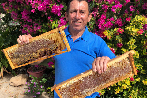 Aruba: Cunucu Bee Adventure Tour with Honey Tasting