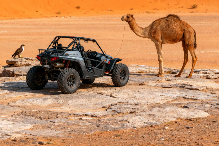 Doha Safari :ATV Quadbike, Sandboarding, Camel & Inland Sea. Shared Tour With Dune Bashing Sandboarding Inland sea