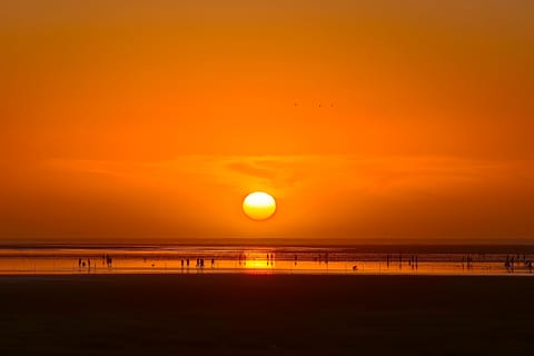 Urban Art & Nature Escape-Taichung Gaomei Wetlands - Image 2