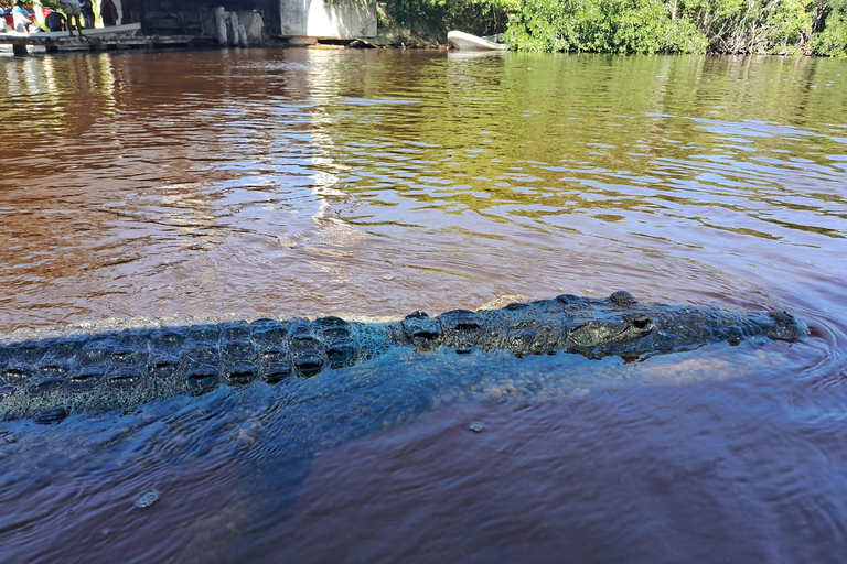 Río Lagartos: Safari con Flamencos y Excursión a Las Coloradas