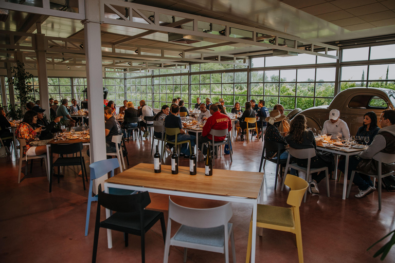 Visita e pranzo alla cantina Bouza