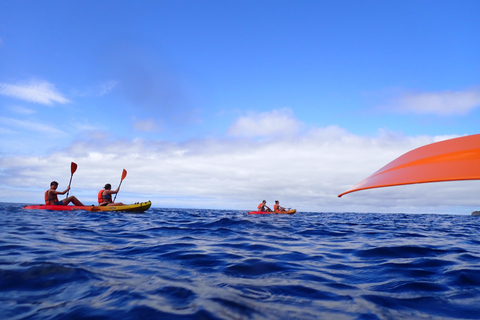 Avventura in kayak a Calheta: Tour della spiaggia di Zimbralinho o dell&#039;isolotto di Cal